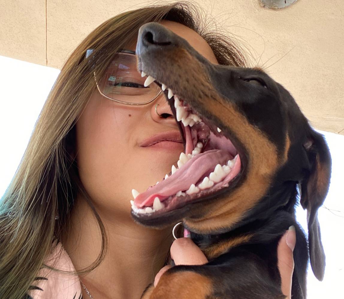 A dog yawning in front of a girls face